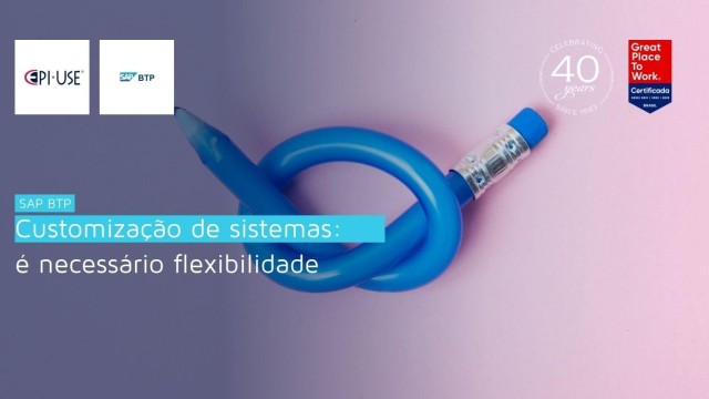 Customização de sistemas: é necessário flexibilidade